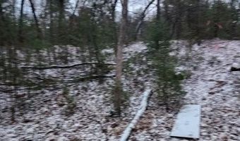 19 Th Pass Lot 19, Arkdale, WI 54613