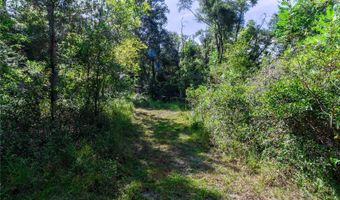 5301 NW COUNTY ROAD 235, Alachua, FL 32615