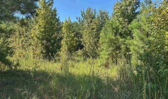 1008 Langford Rd, Blythewood, SC 29016