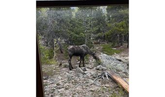 1217 Wedgwood Rd, Black Hawk, CO 80422
