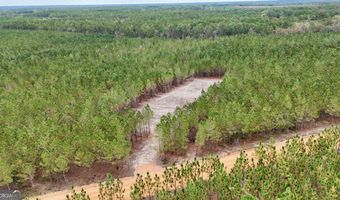 Penny Morris Road, Baxley, GA 31513