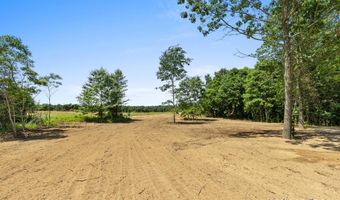 928 Armintrout Ridge Ct, Allegan, MI 49010
