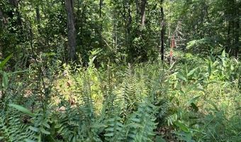 FOX RUN lot 24A 3.22 Ac, Baker, WV 26801