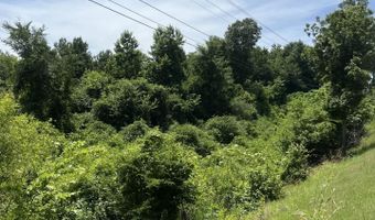 S HWY 9 S, Blue Springs, MS 38828
