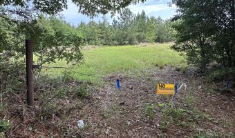 81 1+/- AC Old River Rd, Baker, FL 32531