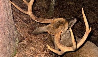 2200 Gillionville Rd, Albany, GA 31707