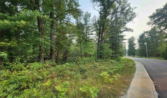 Lot 98 Wilderness, Alger, MI 48610