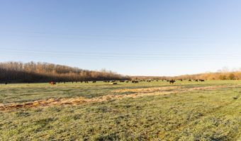Farm Road 2007, Aurora, MO 65605