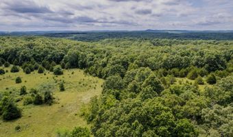 Co Rd 539, Ava, MO 65629