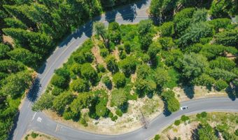 10 Timber Trail Ct, Arnold, CA 95223