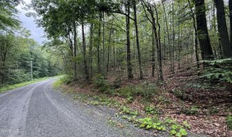 Moberg Rd lot 76, Becket, MA 01223