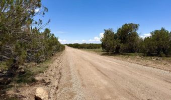 125 Co Rd 8051, Concho, AZ 85924