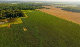 1037 Cr 300, Big Creek, MS 38914