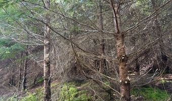 Steer Creek Rd, Blodgett, OR 97326