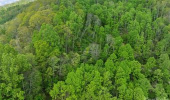 Jacks Knob Road 49, Barnardsville, NC 28709