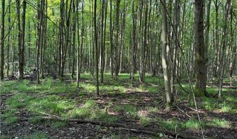 749 Green Rd, Alfred, NY 14803
