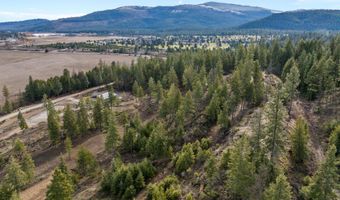 NKA Healing Dr. Lot 2 and Lot 3, Blanchard, ID 83804