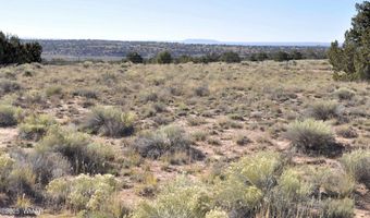 623 C Lazy S Ranch Rd, Concho, AZ 85924