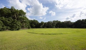 13224 SW 75TH Ter, Archer, FL 32618