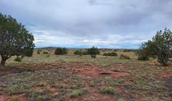 40 County Road 5309, Concho, AZ 85924