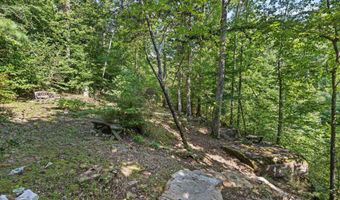 1031 CO RD 4030, Arley, AL 35541