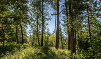25 Starview Dr, Bigfork, MT 59911