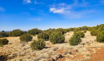 Show Low Pines Unit 3 lot 468, Concho, AZ 85924