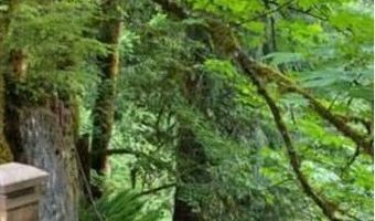 24706 NE Columbia Tie Rd 28-7, Amboy, WA 98601