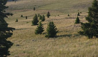 TBD Gregson Gregson Lane, Anaconda, MT 59711
