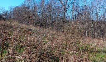 Setty Rd, Albany, OH 45710