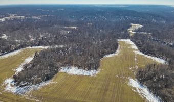 Sandy Branch Road, Bardwell, KY 42023