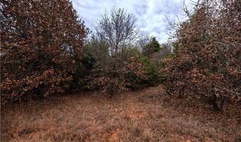Tract 1 Acme RD, Asher, OK 74826