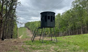 Co Rd 321 Route 5, Ava, MO 65608