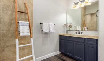 3941 E NOLAN Dr, Chandler, AZ 85249