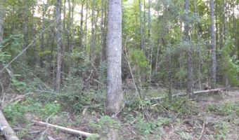 504 247 Country Rd, Bruce, MS 38915