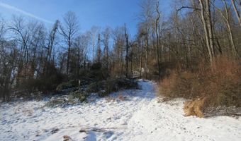 297 Woodburn Run Rd, Alma, WV 26320