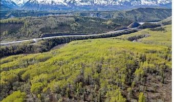 B005 S Packsaddle Road, Chickaloon, AK 99674