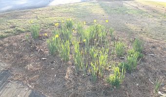 538 Virginia St, Roanoke Rapids, NC 27870