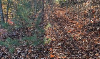 Musket Dr lot 66, Almond, NC 28702