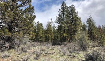 Glendale Drive 15, Beatty, OR 97621