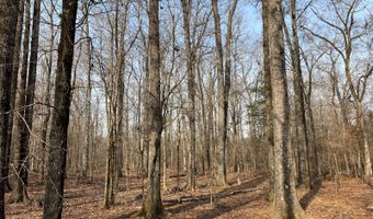 Cunningham Road, Bradley, SC 29819