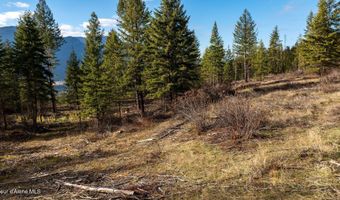 773 Cougar Loop, Clark Fork, ID 83811