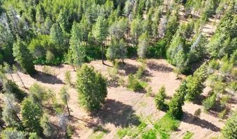 NKA 10-Ac E Parks Rd, Athol, ID 83801