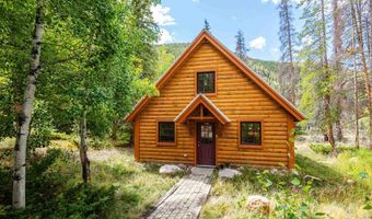 11336 County Road 742, Almont, CO 81210