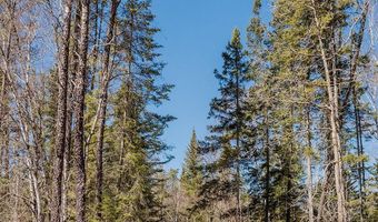 20008 County 84, Akeley, MN 56433