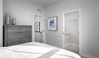 8411 Branch Side Way Plan: Serenade, Brandywine, MD 20613