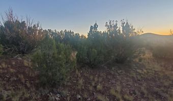 1 COUNTY ROAD N8155, Concho, AZ 85924