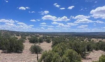 41 Indian Drive CR 8062, Concho, AZ 85924