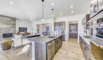 14119 Blue Stem St, Broomfield, CO 80020