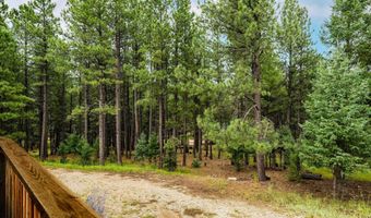 19 Conchas Dr, Angel Fire, NM 87710